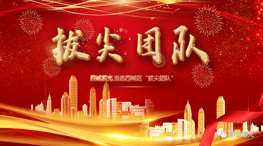 “拔尖團(tuán)隊(duì)”！就是熙誠(chéng)紫光